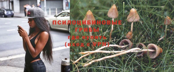 гашиш Елабуга