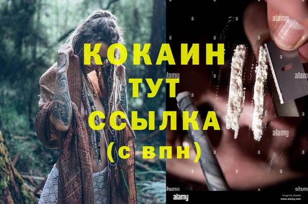 прущий лед Ельня
